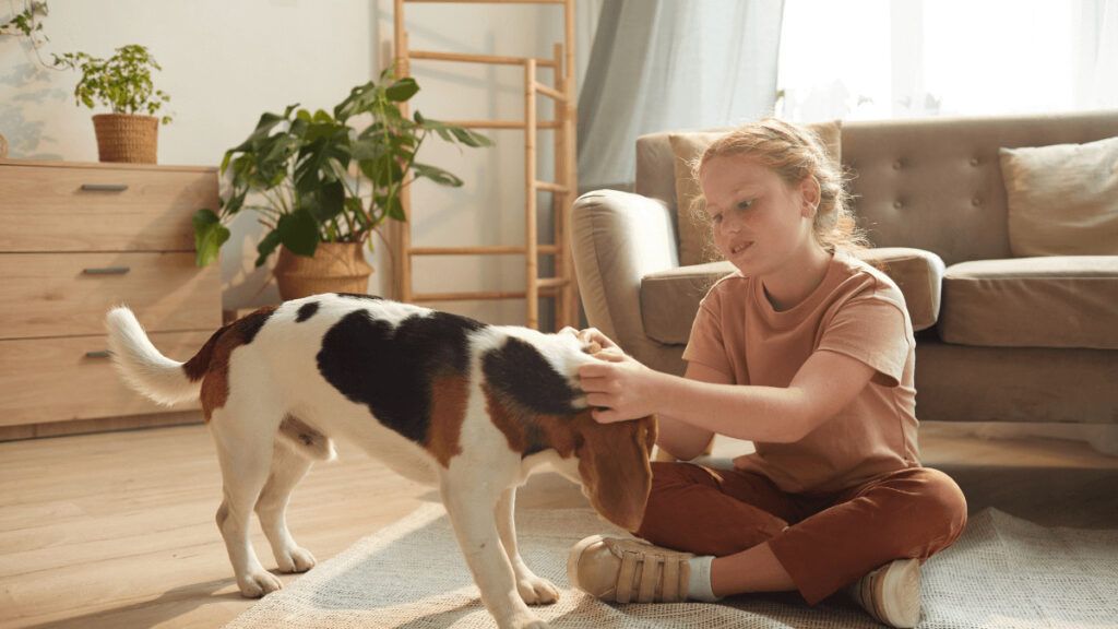 ¿Puede vivir un perro de servicio en un piso de alquiler que no acepta mascotas?