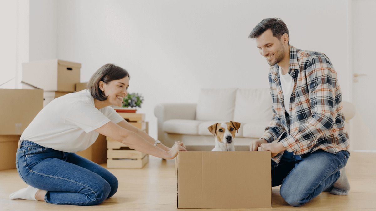 ¿Qué se puede y no se puede pedir legalmente para analizar a un inquilino?