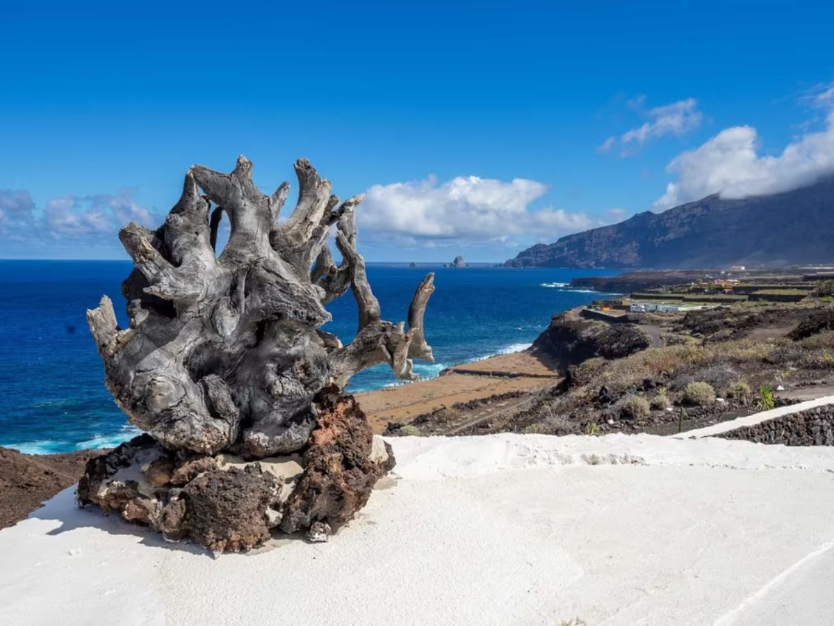 paisaje canarias