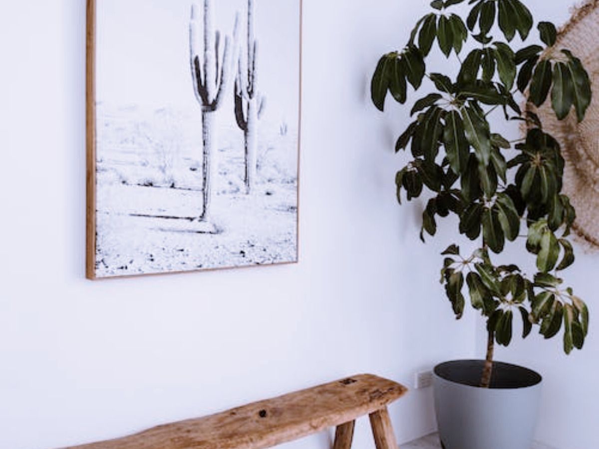 Cómo decorar la entrada: trucos