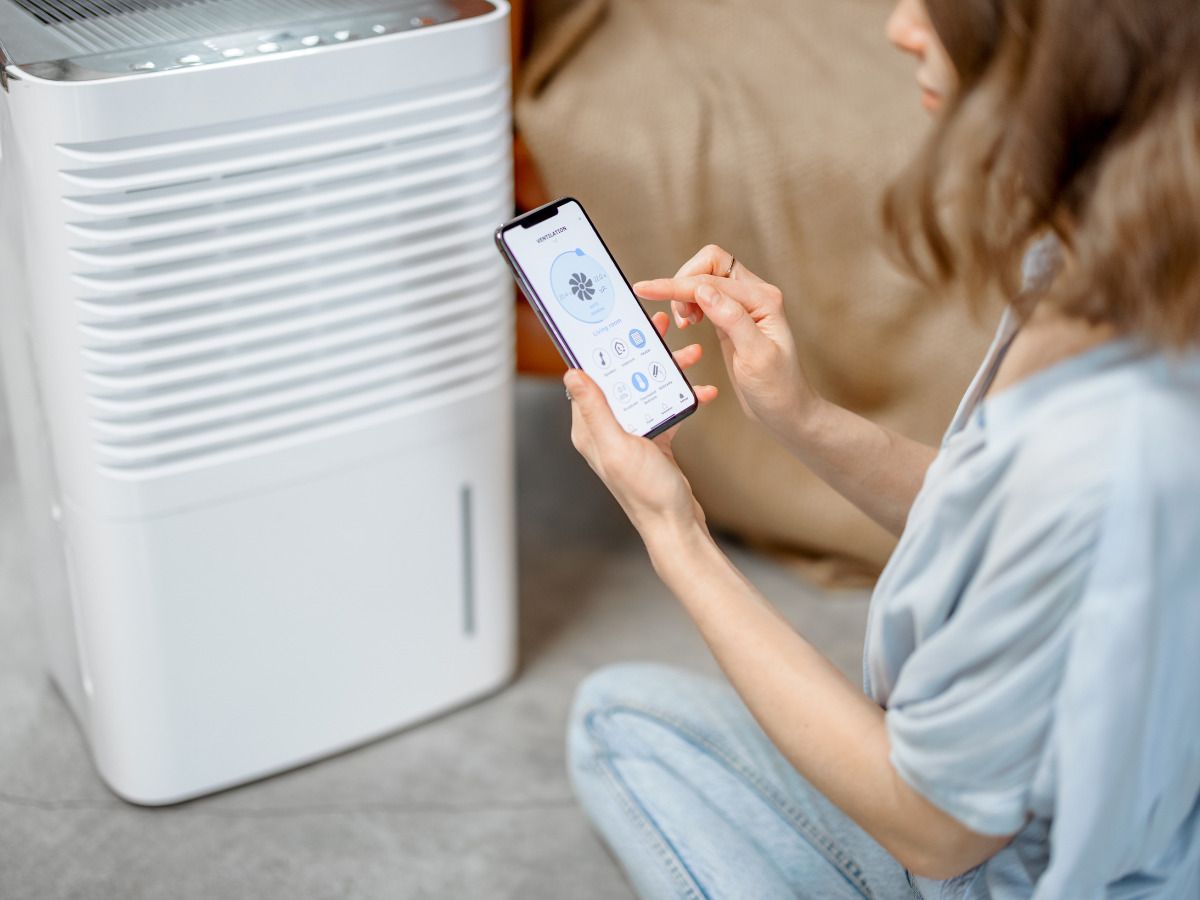 7 ideas para colgar sábanas y toallas cuando llueve - Fotocasa Life tender la ropa con deshumidificador
