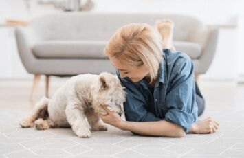 ¿Cuál es la ciudad mejor valorada para vivir con tu mascota?