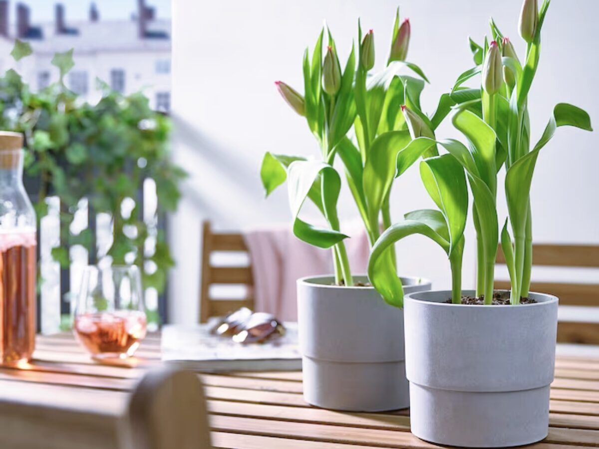 3 propuestas de IKEA para decorar un balcón pequeño, mediano y grande - Fotocasa Life Decoración balcón pequeño IKEA con plantas