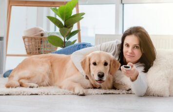 10 ideas de muebles originales para tu perro