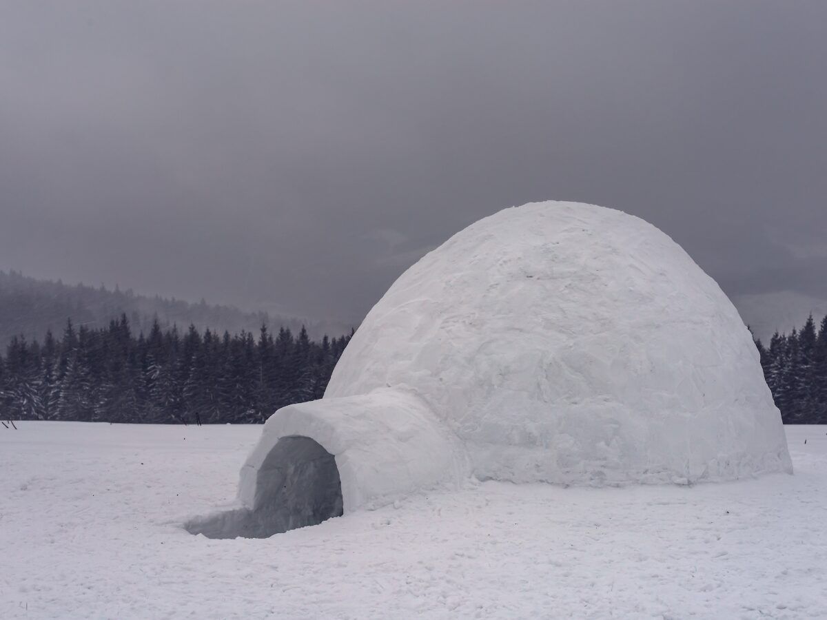 viviendas típicas iglú