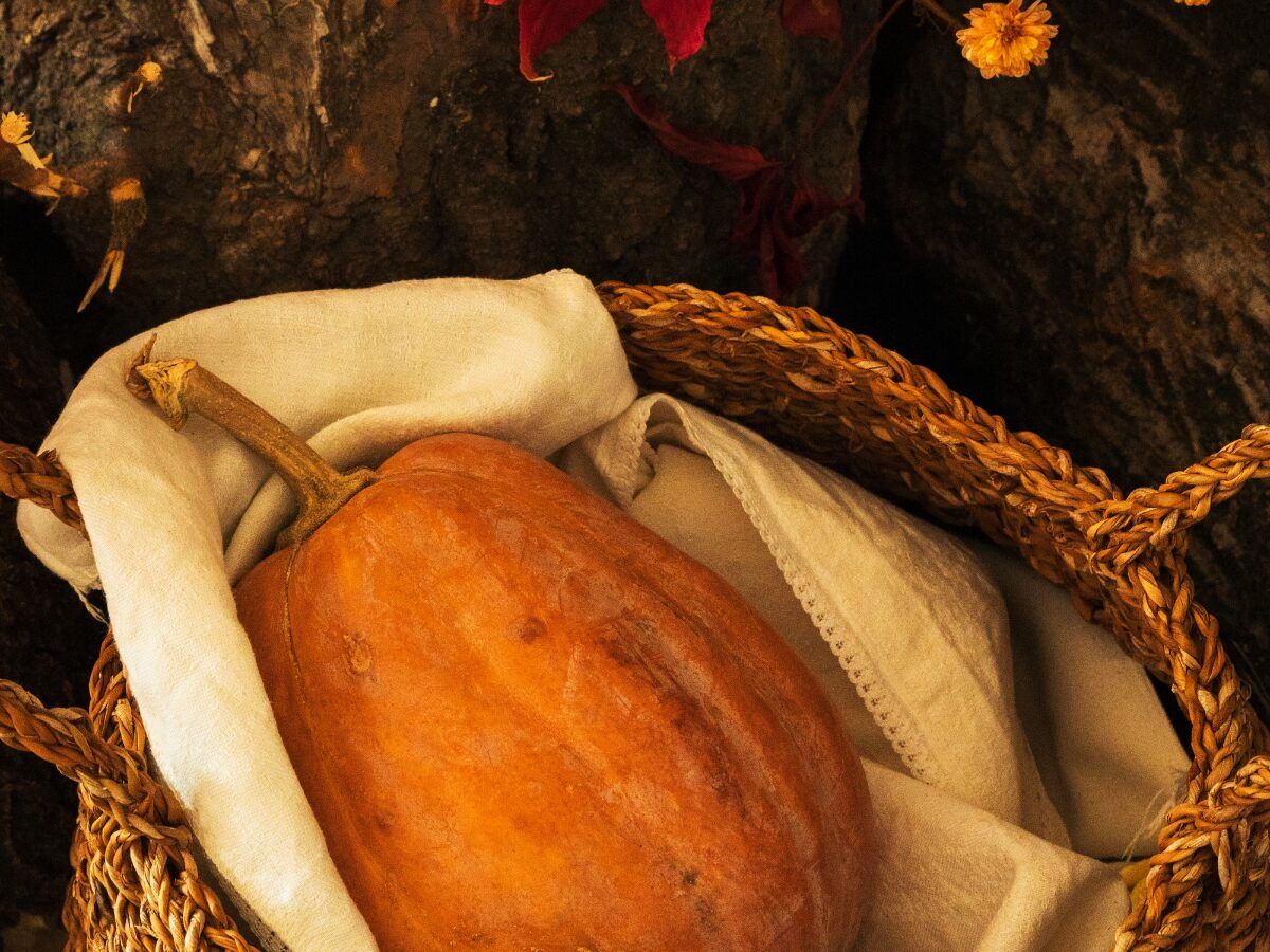 cesto mimbre para decoración de otoño