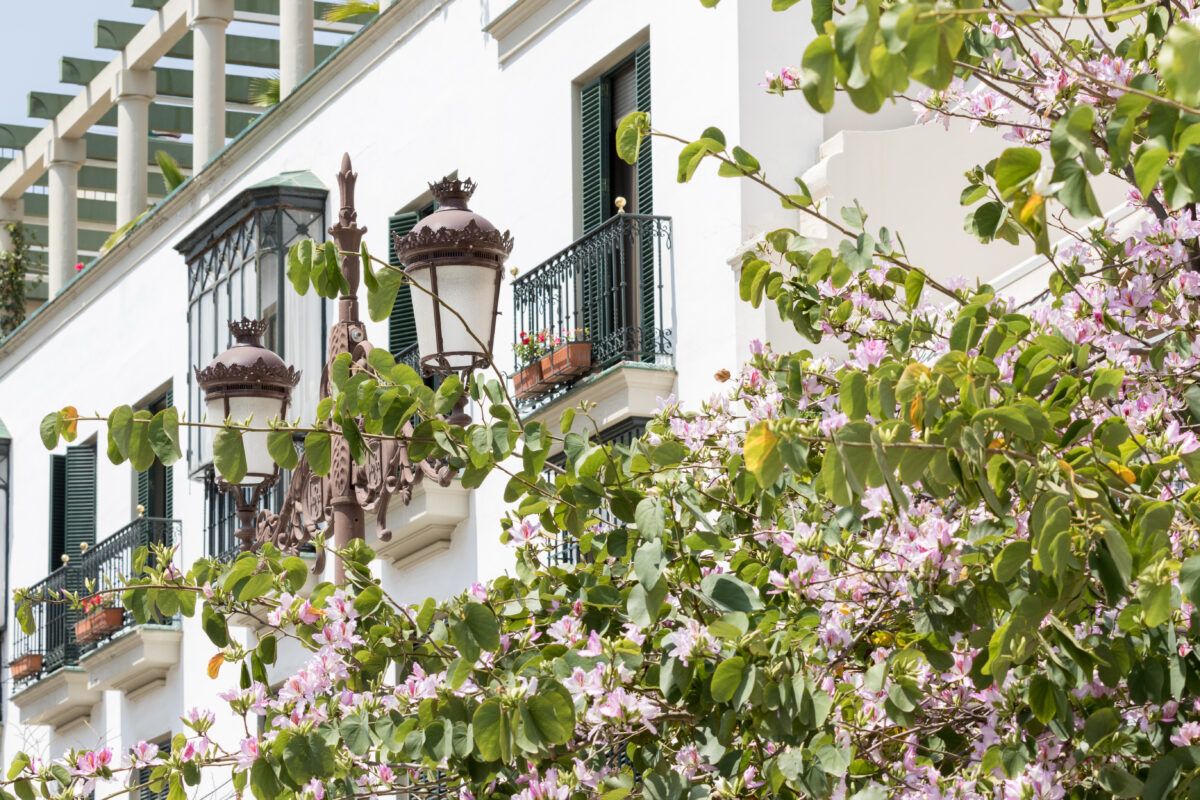 Casitas blancas y calles de piedra en este bonito pueblo rural de Sevilla