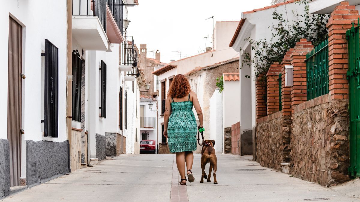 Subida del precio de la vivienda en 2025 y previsión del mercado inmobiliario