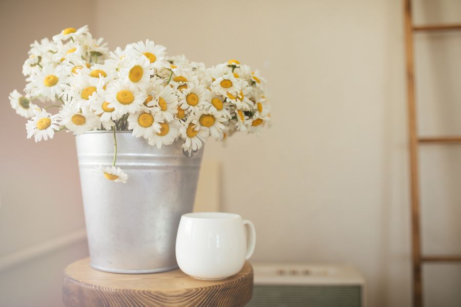 decoracion con flores margaritas