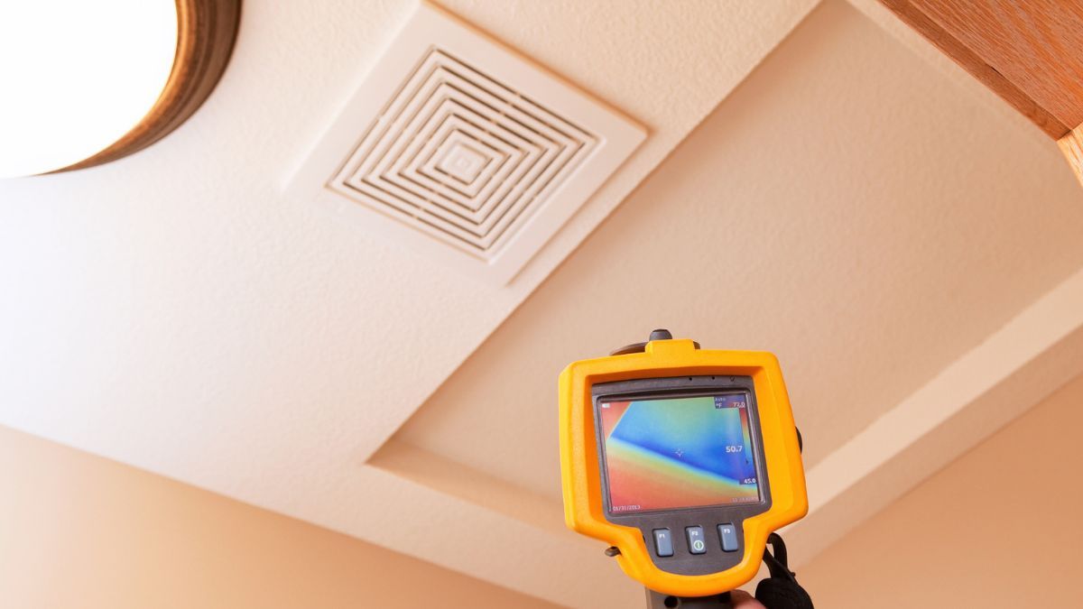 Qué es la fotografía termográfica y cómo nos puede ayudar a ahorrar