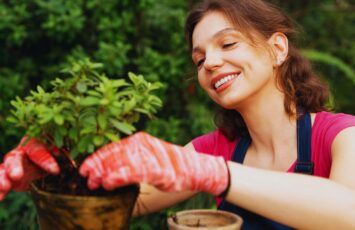 ¿Cuánto cuesta hacer un jardín? Guía práctica y económica