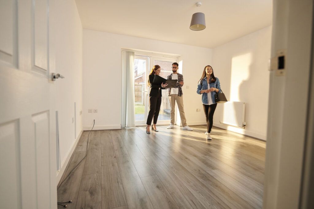 Nueva funcionalidad: filtro «Ayudas Públicas» para comprar casa con subvenciones en 2025