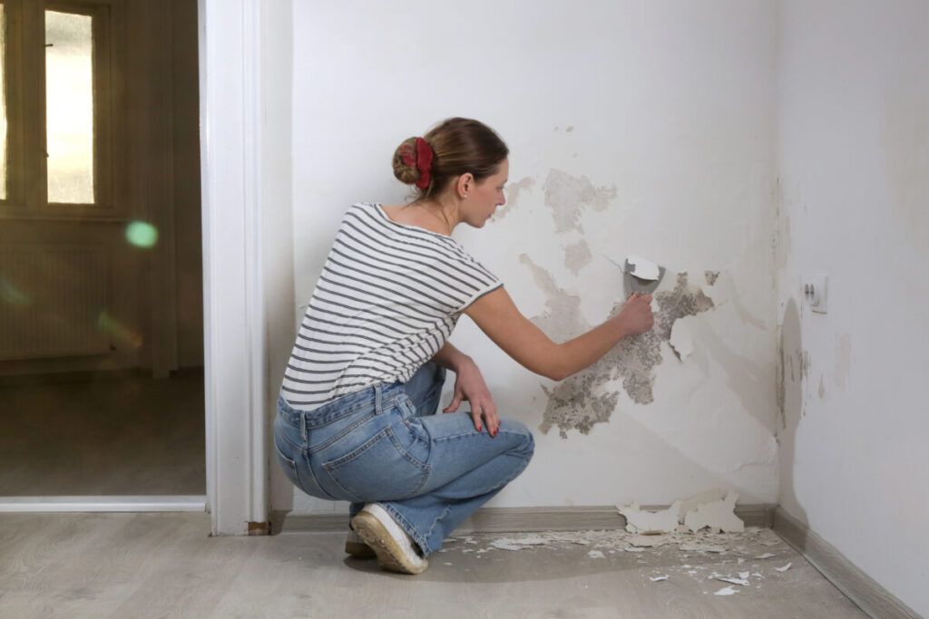 ¿Cómo puedo vender una casa con problemas de humedad?