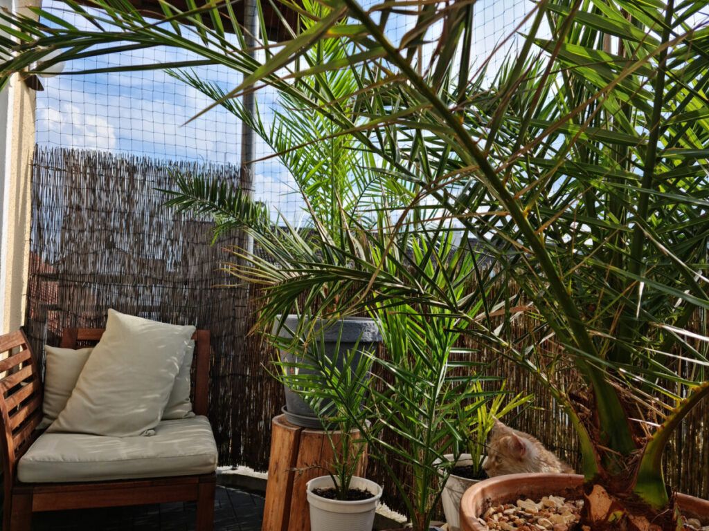 plantas terraza ático
