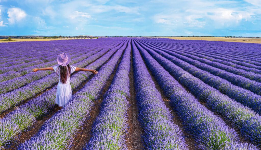Niña en los campos de lavanda de Brihuega, uno de los pueblos de Guadalajara más bonitos y baratos