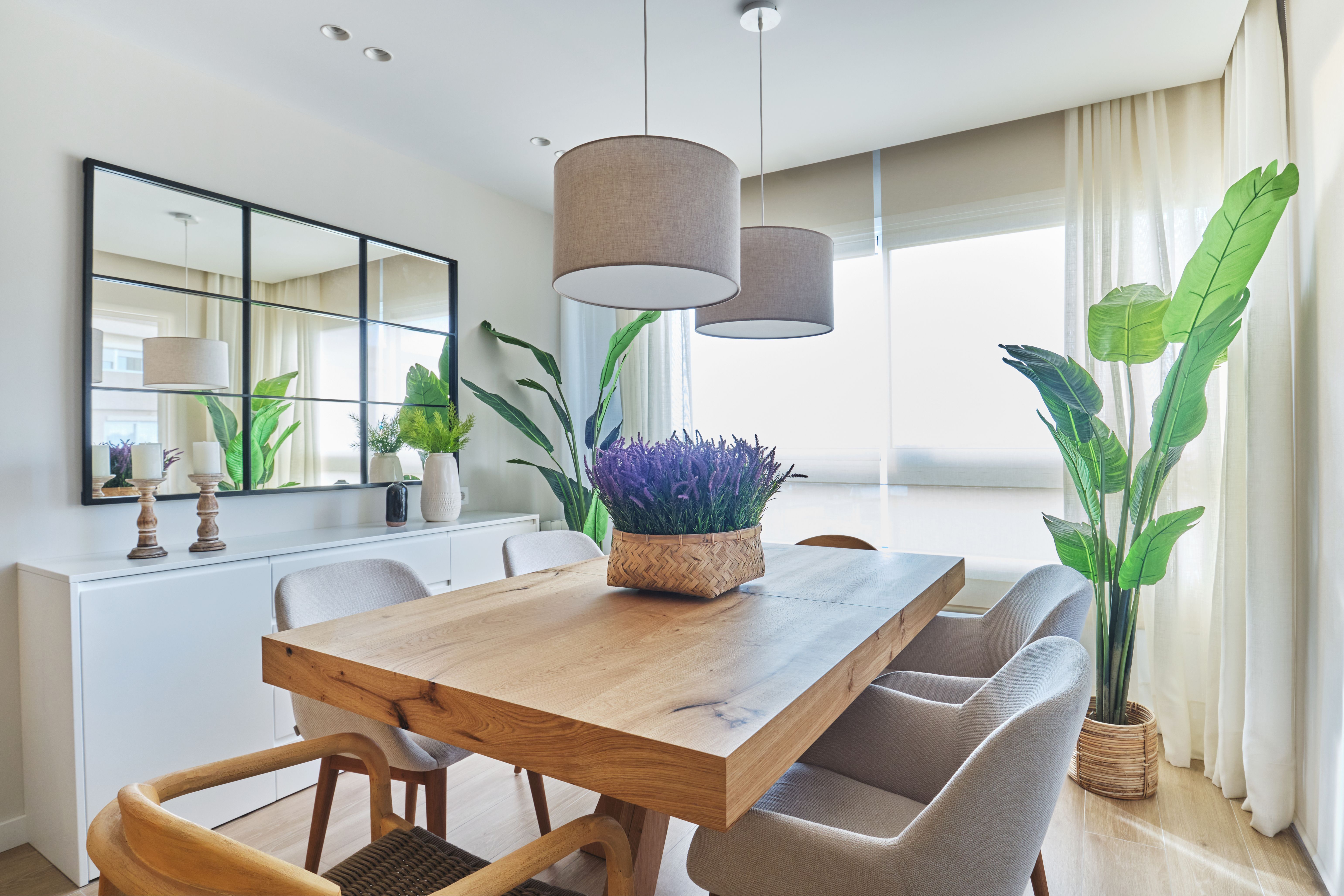 Salón comedor con plantas de interior y luz natural ideal para cómo decorar la casa esta primavera