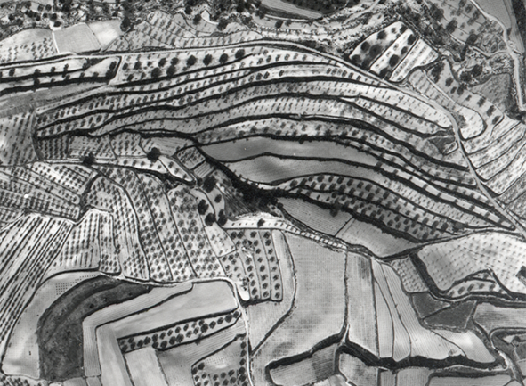 Vista de los linderos de las fincas en la provincia de Valencia