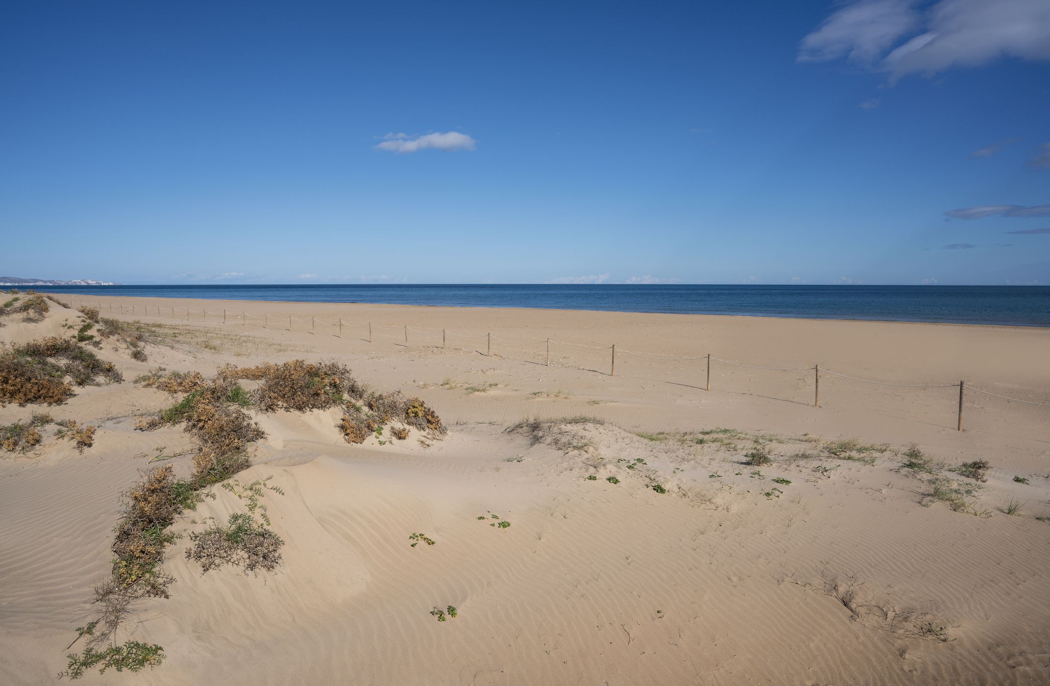 Playa de Gandía con dunas naturales en Valencia, zona menos turística para vivir junto al mar