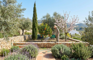Árboles para un jardín mediterráneo: las especies más resistentes, bonitas y fáciles de cuidar