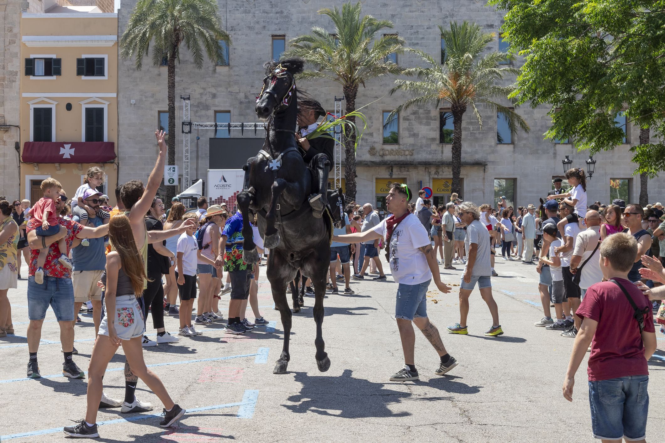 Caballo menorquín durante las Fiestas de Sant Joan de Ciutadella 2026 en Menorca