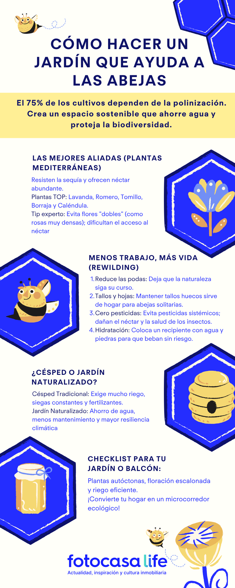 Infografía sobre cómo crear un jardín de bajo mantenimiento para abejas con plantas mediterráneas, menos riego y consejos para ayudar a polinizadores.