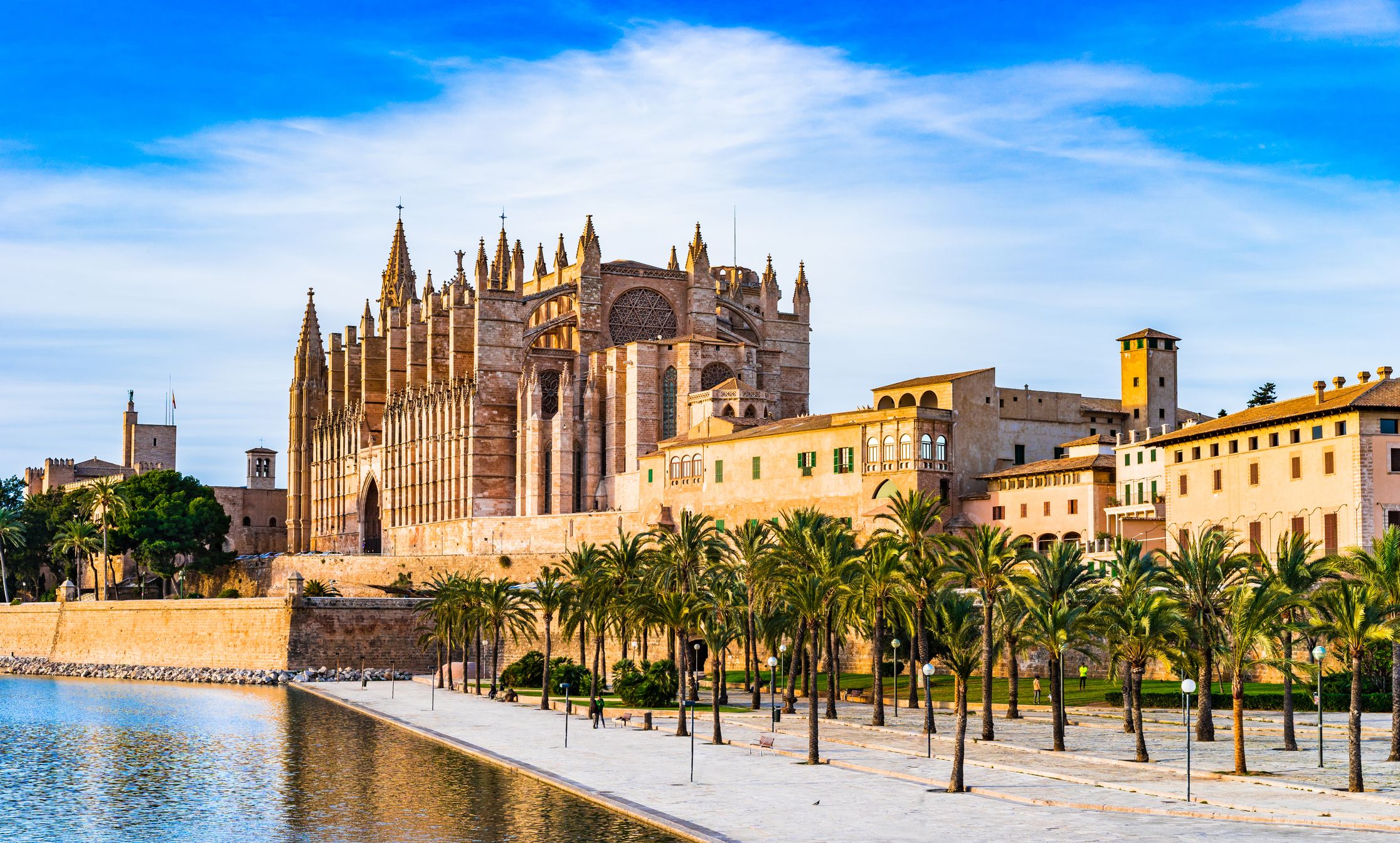 Vista de la catedral de Palma de Mallorca