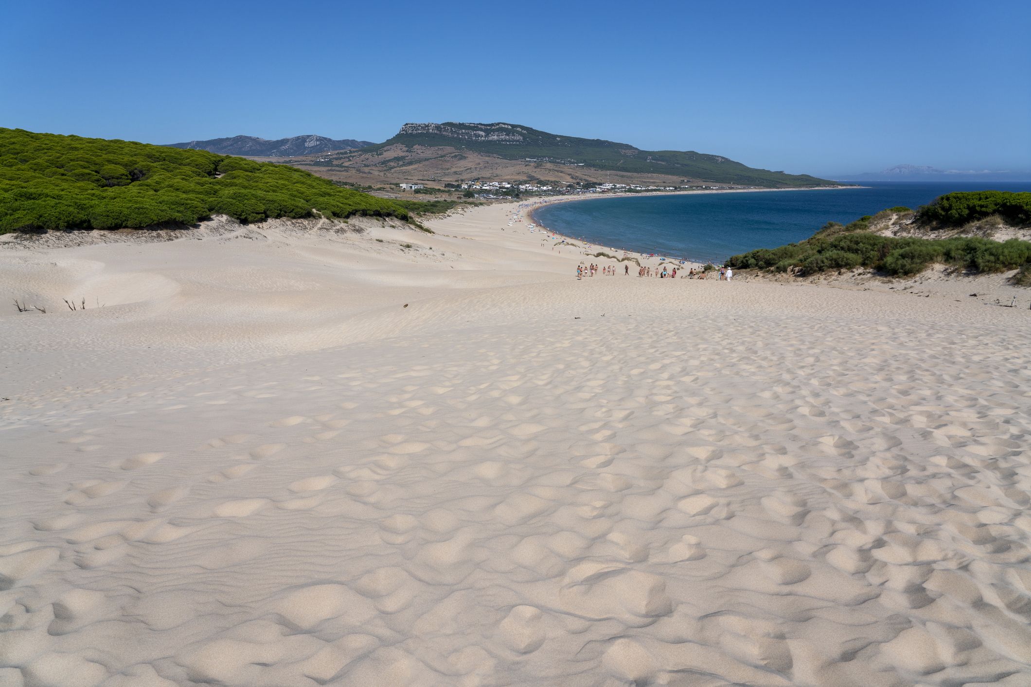 Vista panorámica de la playa de Bolonia en Cádiz, una de las mejores playas de España en 2026 por su gran duna natural y su entorno virgen.