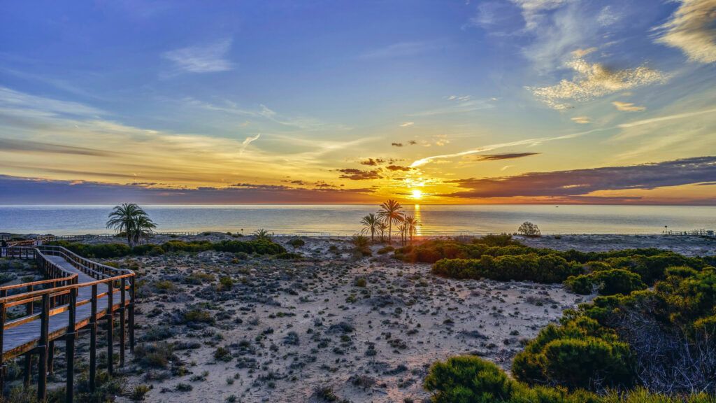 Playa de los Arenales del Sol, Elche