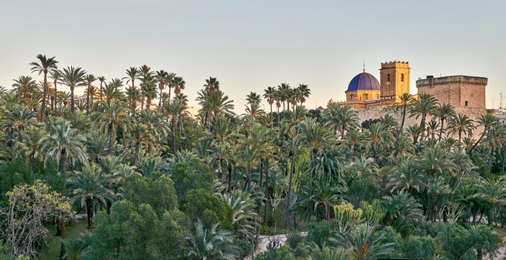 Vista del Palmeral, Elche