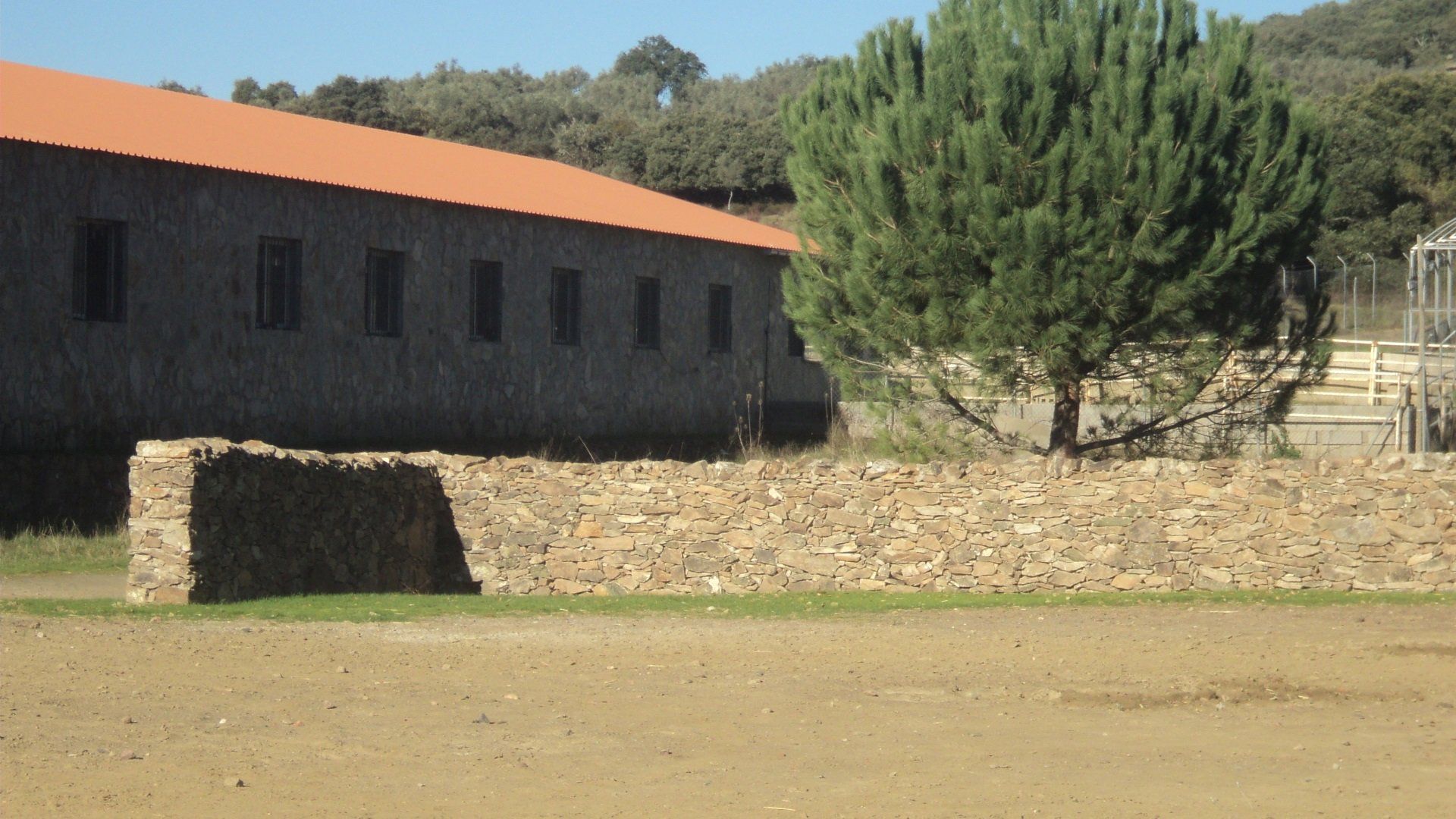 La compra de fincas rústicas aumenta un 1,2 % en mayo
